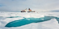 image: Icy Algae in a Changing Arctic