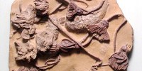 image: Ancient Organic Molecules Found