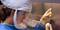image: Regulating Dangerous Research
