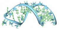 image: Circular RNA Surprise