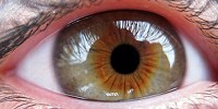 image: New Approach for Failing Vision