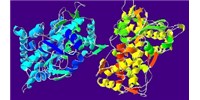 image: Catalyzing Lung Cancer Research