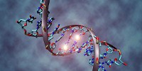 image: Key Mental Illness Genes Found