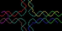 image: DNA Machines Inch Forward