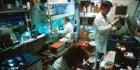 image: Gov’t Science Integrity Measures Lackluster