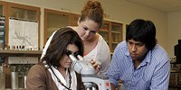 image: Million-Dollar Teaching Award