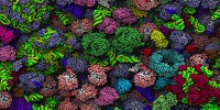 image: Image of the Day: Crowded Cytoplasm