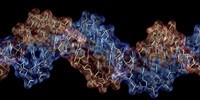 image: Revealing Genetic Risks