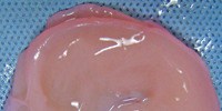 image: Image of the Day: Artificial Ear