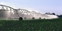 image: Opinion: The Water Crisis