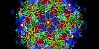 image: Synthetic Vaccine Is Safer, More Stable