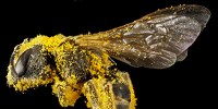 image: Image of the Day: Messy Eater