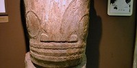 image: Study Links Brazilians to Polynesians