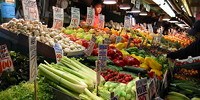 image: Vegetables’ Microbial Tenants