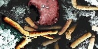 image: Virus Versus Bacteria