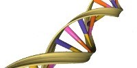 image: Celebrating 60 Years of the Double Helix