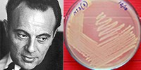 image: Nobel Prize Winner Francois Jacob Dies