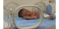 image: The Genes Underlying Prematurity