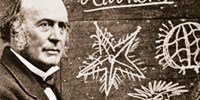 image: Book Excerpt from Louis Agassiz: Creator of American Science