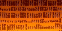 image: “Anonymous” Genomes Identified