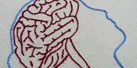 image: Scientists Discuss BRAIN Initiative