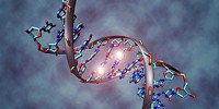 image: Epigenetics of Embryonic Stem Cells