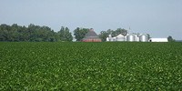 image: Supreme Court Sides with Monsanto