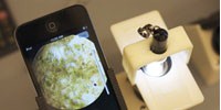 image: Mobile Microscopes