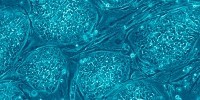 image: Italy Orders Trials of Unproven Therapy
