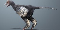 Fossil Reshuffles Avian Family Tree image: Fossil Reshuffles Avian Family Tree