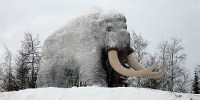 Mammoth Blood Gives Hope for Cloning? image: Mammoth Blood Gives Hope for Cloning?