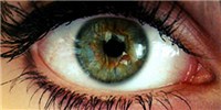 Genes Get in Your Eye image: Genes Get in Your Eye