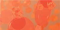 Platelets Help Tackle Bacteria image: Platelets Help Tackle Bacteria
