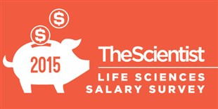 The 2015 Salary Survey Is Complete