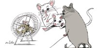When Does a Smart Mouse Become Human?