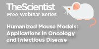 Humanized Mouse Models: Applications in Oncology and Infectious Disease image: Humanized Mouse Models: Applications in Oncology and Infectious Disease