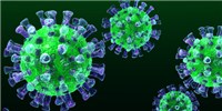 image: Synthetic DNA–based MERS Vaccine Shows Promise