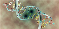 image: Opinion: Engineering the Epigenome