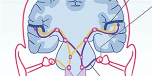 The Sounds of Silence