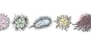Microbes Meet Cancer