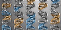 Minimal Genome Created