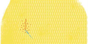 Noncoding RNAs Not So Noncoding
