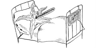 The Earth\'s Changing Seas