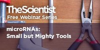 microRNAs: Small but Mighty Tools