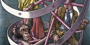Decoding Human Accelerated Regions