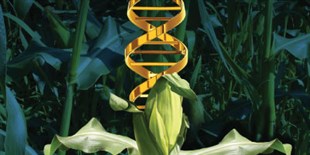 The Growth of Iowa Biotech