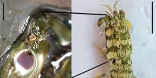 Notable Science Quotes