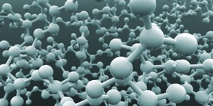 LabQuiz: The Protein Problem