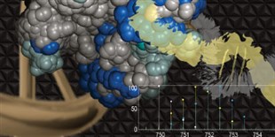 Mass Spec Analysis of Protein Interactions
