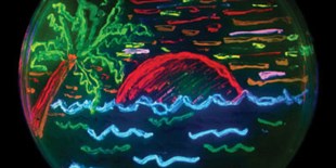 Notable Science Quotes